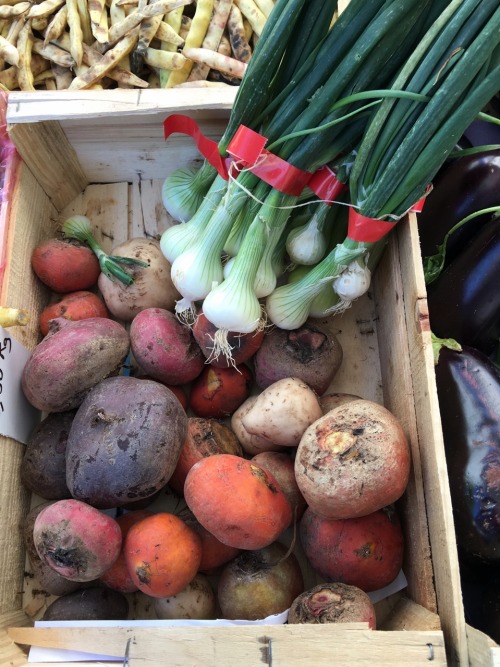 Ingrédients pour un ragoût de légumes racines d'automne, le marché des jeudis, Orange, Vaucluse, 201