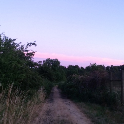 softwaring:  I went for a walk n it was really pretty