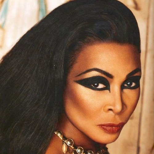 xohighglo:Tina Turner as Cleopatra by Kevyn Aucoin for his book Face Forward 