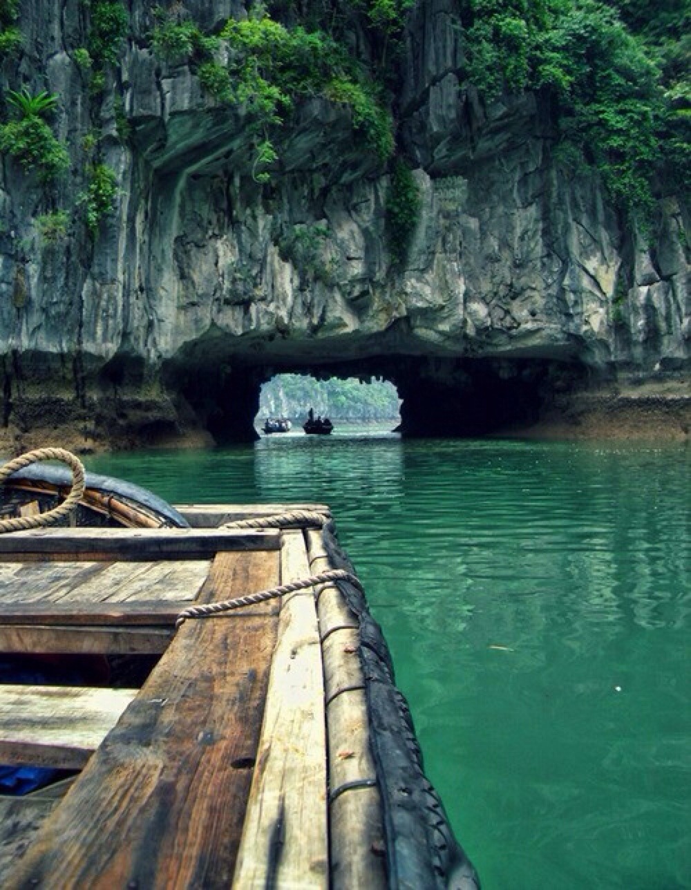 theadventurechild:  Jungle/tropical blog