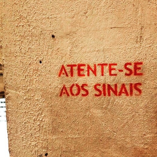 A Pele Que Habito