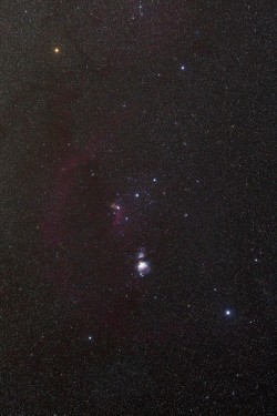 wonders-of-the-cosmos:  Constellation of Orion  by: Joseph Brimacombe