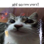 lolwtf312-blog