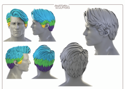 Drawing HairRow 1 - 3Row 4, By Anatomy Next