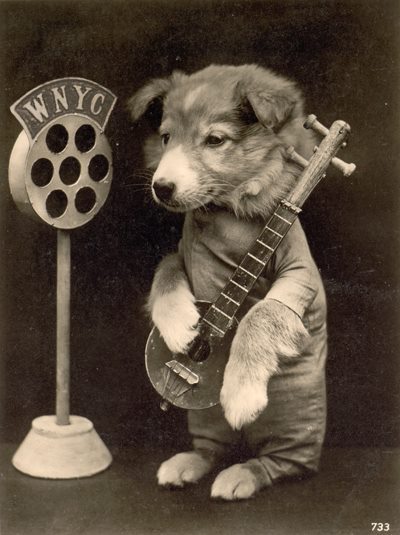 nyprarchives:  “Rolf, the mandolin-playing terrier, was regularly featured on Art Nudnick’s Musical Menagerie. The Sunday afternoon variety program was a hit for the better part of 1925.”Photo ‘discovered’ by the NYPR Archives Dept.