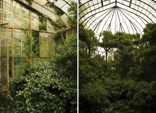 bestabandoned:Martino Zegwaard - Abandoned greenhouse in castle.