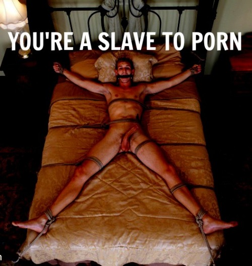PornosexualFuture