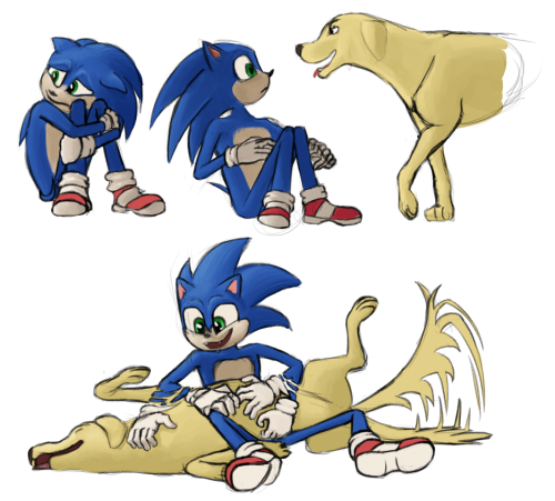 I&rsquo;m OBSESSED with Sonic after the movie XDI&rsquo;ve never liked Sonic before. I&rsquo;ve neve