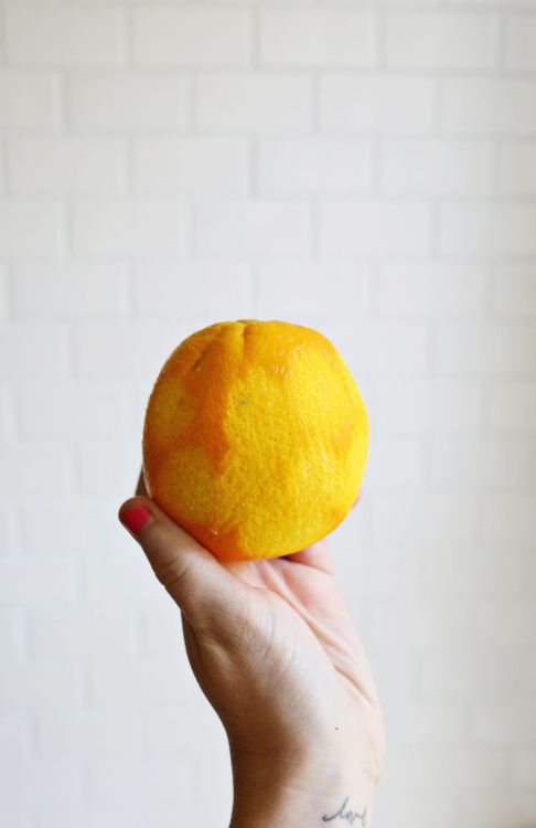 foodffs: CHOCOLATE & ORANGE MADELEINE COOKIES Really nice recipes. Every hour. Show me what you 