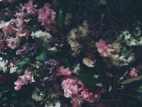 vextape:  flower babies shooting for @foxclore films - @blathh covered me in petals because she’s a blossom. 🌸 