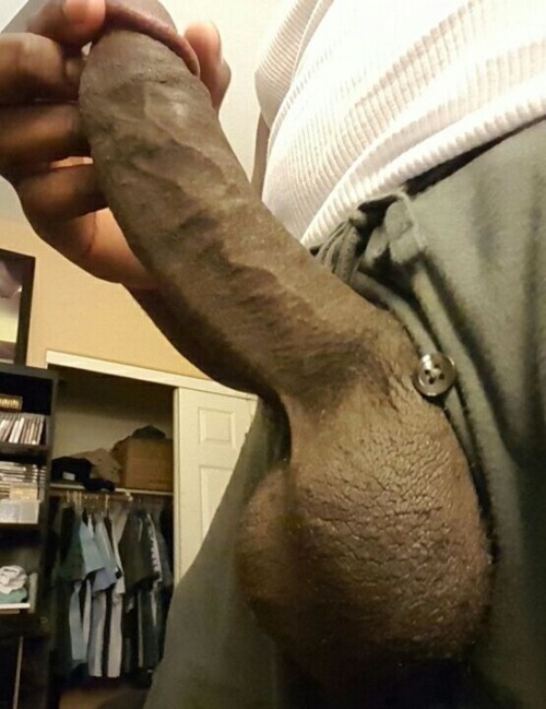 ALL BOUT THE DICK !!!