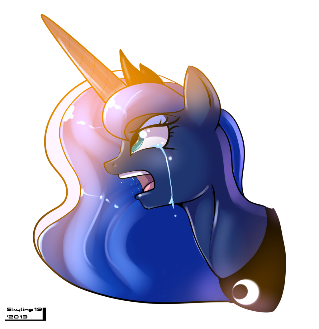 theponyartcollection:  Why do you hate me!!! by Skyline19