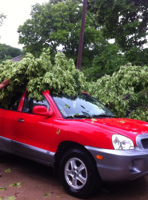 extraneousredux: 20’s car this morning. Stupid storm.Also, 17 took Penny the Floppy Puppy jogging wi