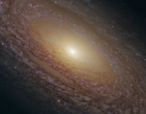Flocculent spiral NGC 2841, absolutely breathtaking! **** js