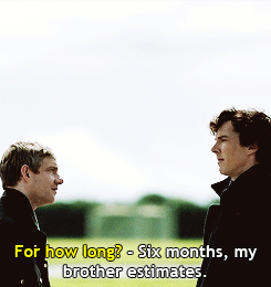 ivyblossom:  This lie is a kindness. John already lost Sherlock, buried him, and