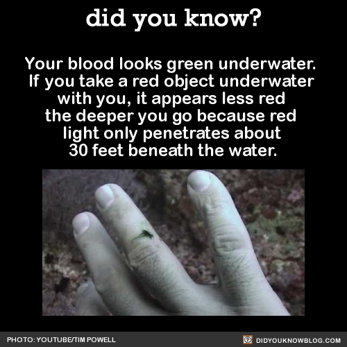 did-you-kno:  Your blood looks green underwater. If you take a red object underwater