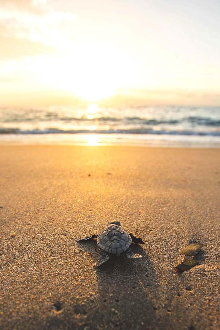 lsleofskye: Keep an open mind and let the day brighten your life! | benjhicks