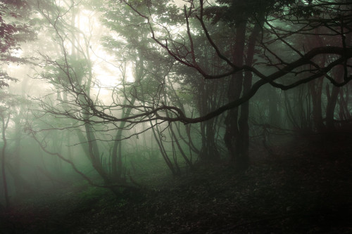 Mt.Oike / Mie Prefecture by Seiuchi F