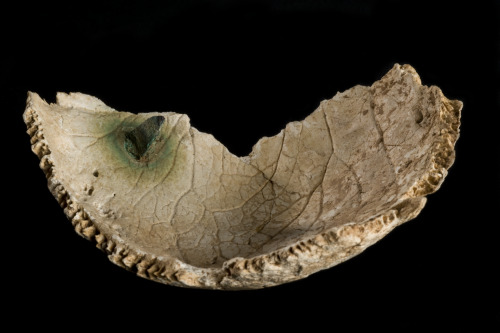 theolduvaigorge: Fragment of human skull pierced by bronze arrowhead, China, Han Dynasty, 206 BCE-22