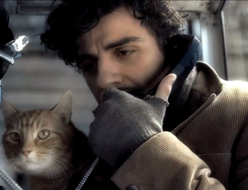 deans-isengard:oscar isaac and cat just in case you were having a bad day@nimiana