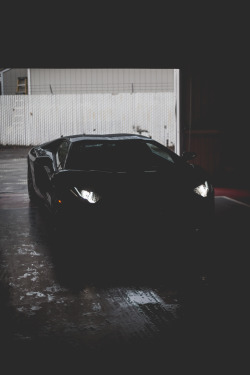 thephotoglife:  V12 Bull. 