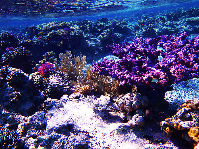 takemetothedungeons:  Satayah, Egypt - October 2013 