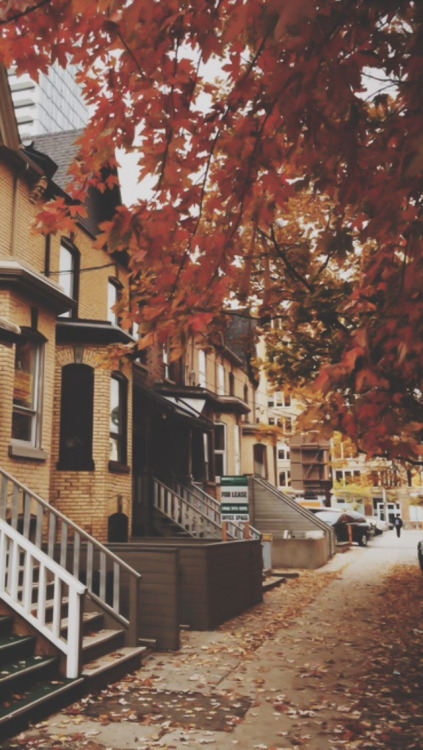 phone-wallpapers-heaven:  Falling for the Autumn /Lockscreens/  