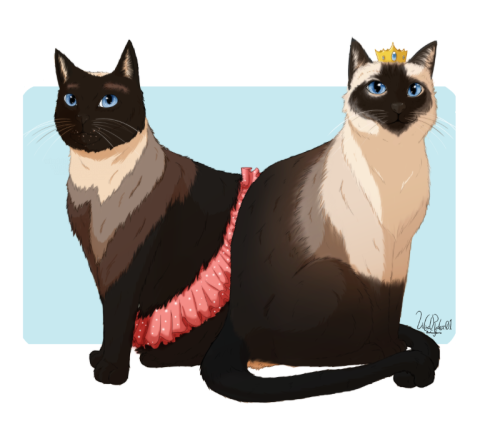  ♚ Commission Info ♚Siamese cat commission I did for a coworker at work for her Mum’s cats as a pres