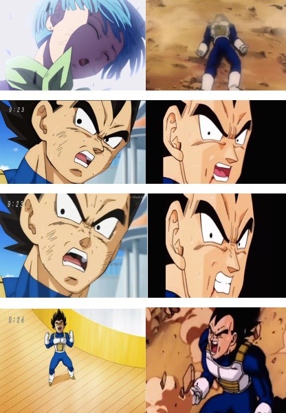 bejitafanatic:  Don’t mess with Vegeta and the ones he loves so dearly. 