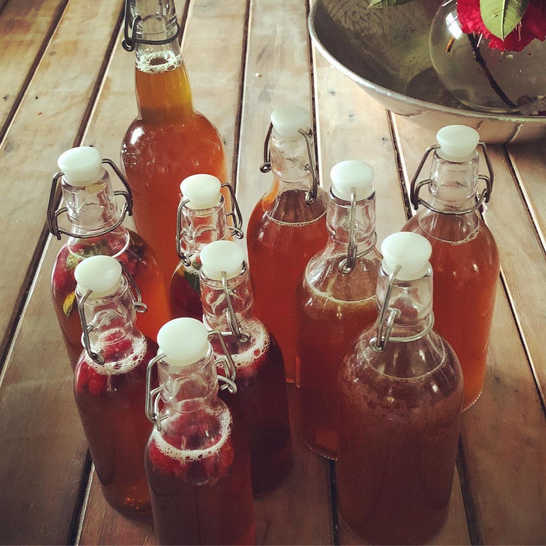 <p>Holiday Kombucha!<br/>
#lemon and ginger #rasberry and mint #raspberry <br/>
Healthy alcohol free holidays are the best.  I’m thinking about running a kombucha making workshop,  if you are interested at me know!<br/>
<a href="https://www.instagram.com/p/B22UnpdgUww/?igshid=1np1k1ffvxrh0" target="_blank">https://www.instagram.com/p/B22UnpdgUww/?igshid=1np1k1ffvxrh0</a></p>