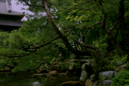 entgifs:The Handmaiden 아가씨 (2016) Dir. by Park Chan-wook