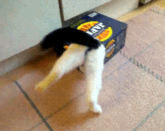 lolsofunny:  (lol here!) 