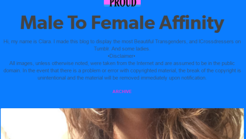 gaylor-moon:gaysriel:what the fuck@maletofemale-affinity is a shitty ass person.Block them