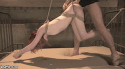 thebdsmspot:  Slave girl tied up and fucked mid air 