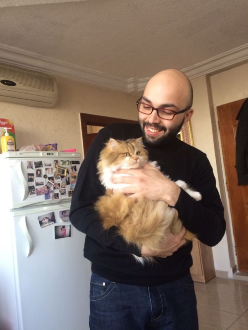 maoandcats:here’s my daughter, blom bank, and this is how she looks like when she’s held