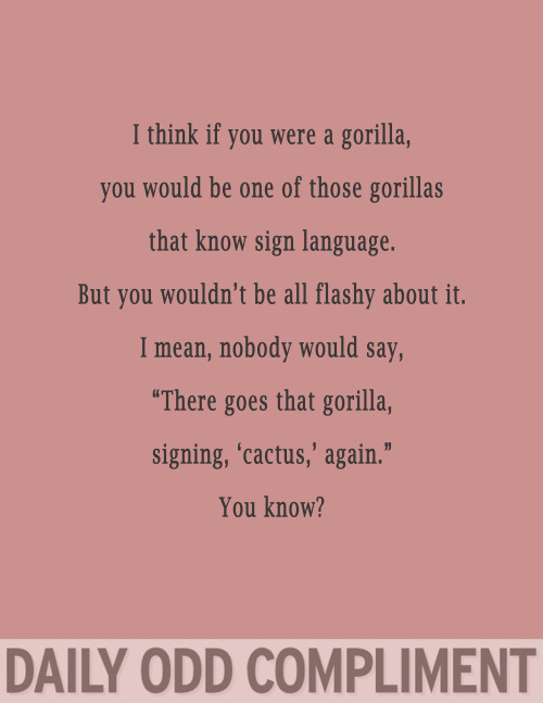 dailyoddcompliment:“Gorilla Language”
