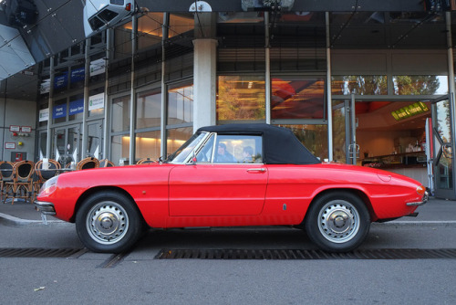 1966 Alfa Romeo Spider.Kiss July goodbye—with a Pininfarina masterpiece.