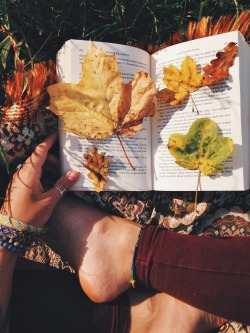 wisteria-spirit:  autumn findings 🍁🍂 