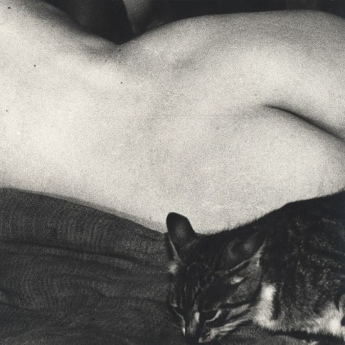 vincekris: Mario Giacomelli