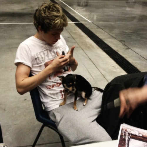 Breaking Zayn's Table