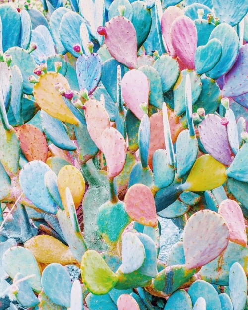 nevver:Pastels, Nicholas Scarpinato
