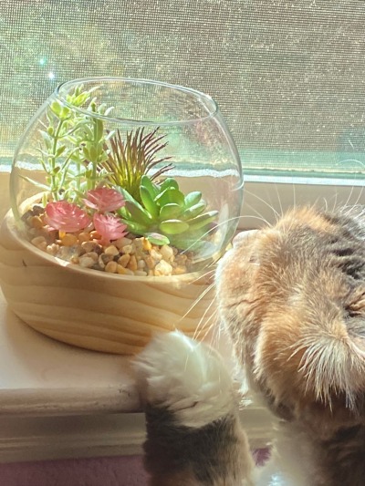 norgasmic:bepis discovering nature 🌿