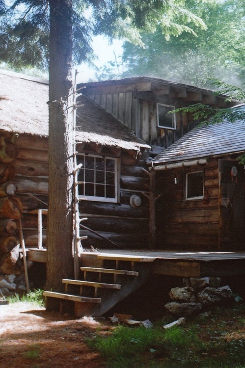 ivvvoo:  Untitled by (Tom J. Wilson)