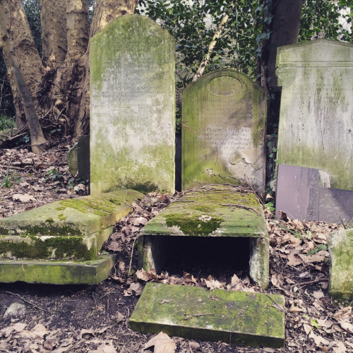 faerybites: Tower Hamlets Cemetery Park &amp; Ackroyd Drive Green Link Nature Reserve, London.&n
