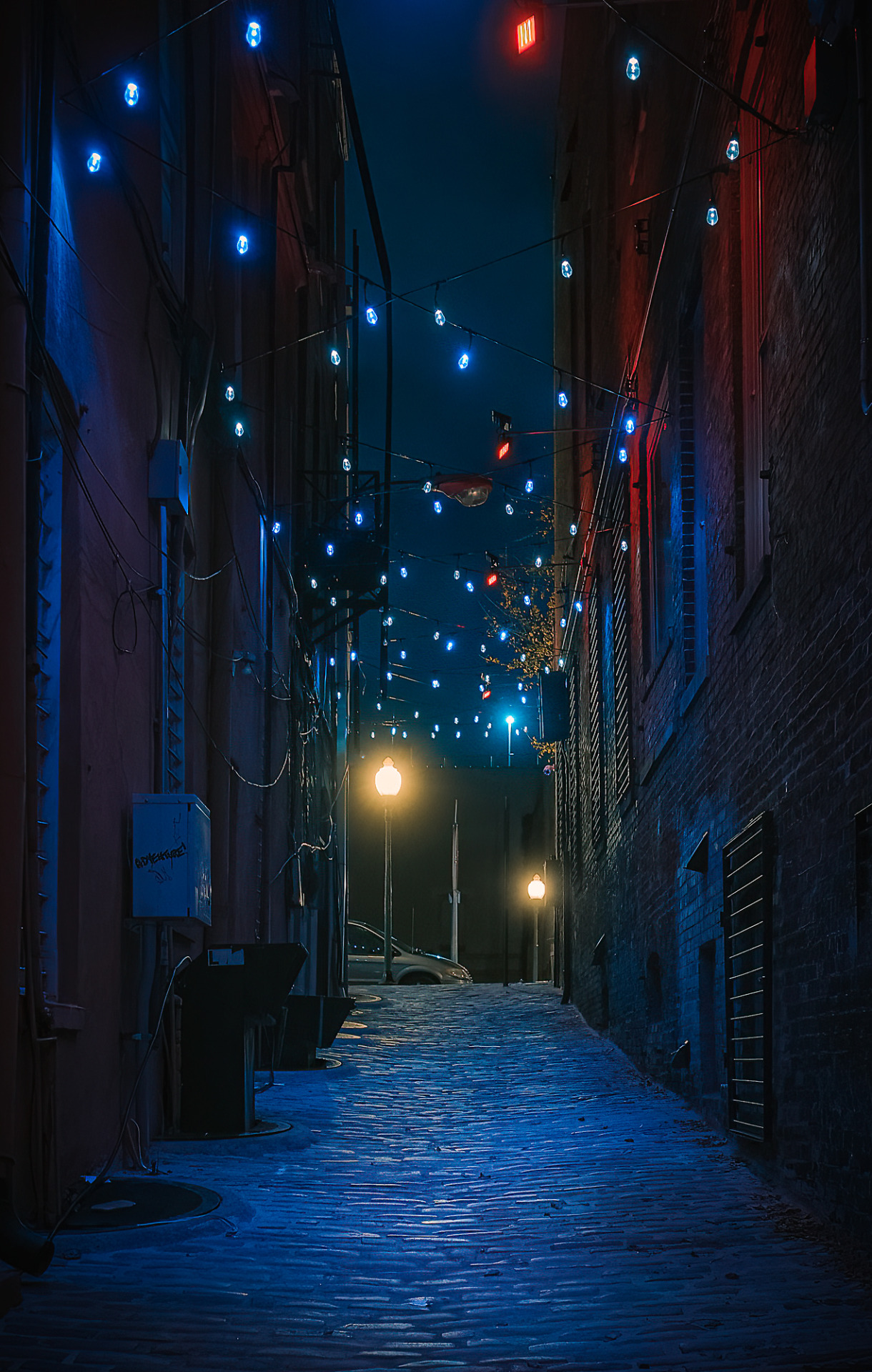Flor On Tumblr flor-on-tumblr
