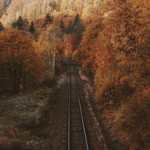 autumninnewyawk: Photo from miacocoone