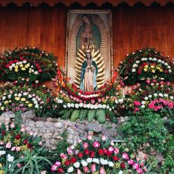 aaalexisg:  💐 (at San Miguel de Allende, Guanajuato)