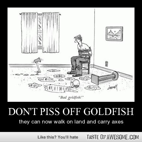 very-demotivational:  Don’t Piss Off Goldfishvery-demotivational.tumblr.com