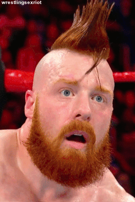 wrestlingsexriot:  day 3010 of me being absolutely in love with this gorgeous ginger