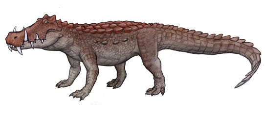 The Evolution Of Life On Earth The Boar Crocodile Kaprosuchus 2009 Phylum